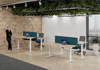 Bureau Flex 1 elektrisch verstelbaar QA (1 motorig) 160x80 cm