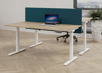 Bureau Flex 1 elektrisch verstelbaar QA (1 motorig) 160x80 cm