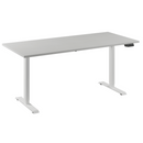 Bureau Flex 160x80 wit/wit