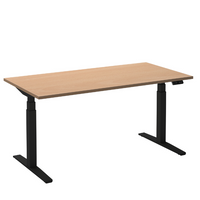 Elektrisch bureau Flex 2 Zwart/Beuken 120x80 cm