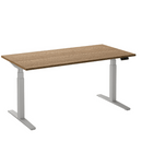 Bureau Flex 2 elektrisch verstelbaar (2 motorig) 140x80 cm