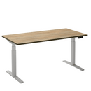 Bureau Flex 2 elektrisch verstelbaar (2 motorig) 140x80 cm