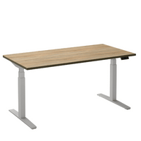 Bureau Flex 2 elektrisch verstelbaar (2 motorig) 140x80 cm