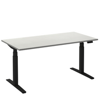 Flex 2 sta/zitbureau 160x80 cm Zwart/Wit