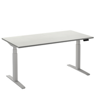 Flex 2 sta/zitbureau 160x80 cm Wit/Wit