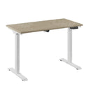 Bureau Flex 1 elektrisch verstelbaar QA (1 motorig) 120x60 cm - Wit / Eiken wit