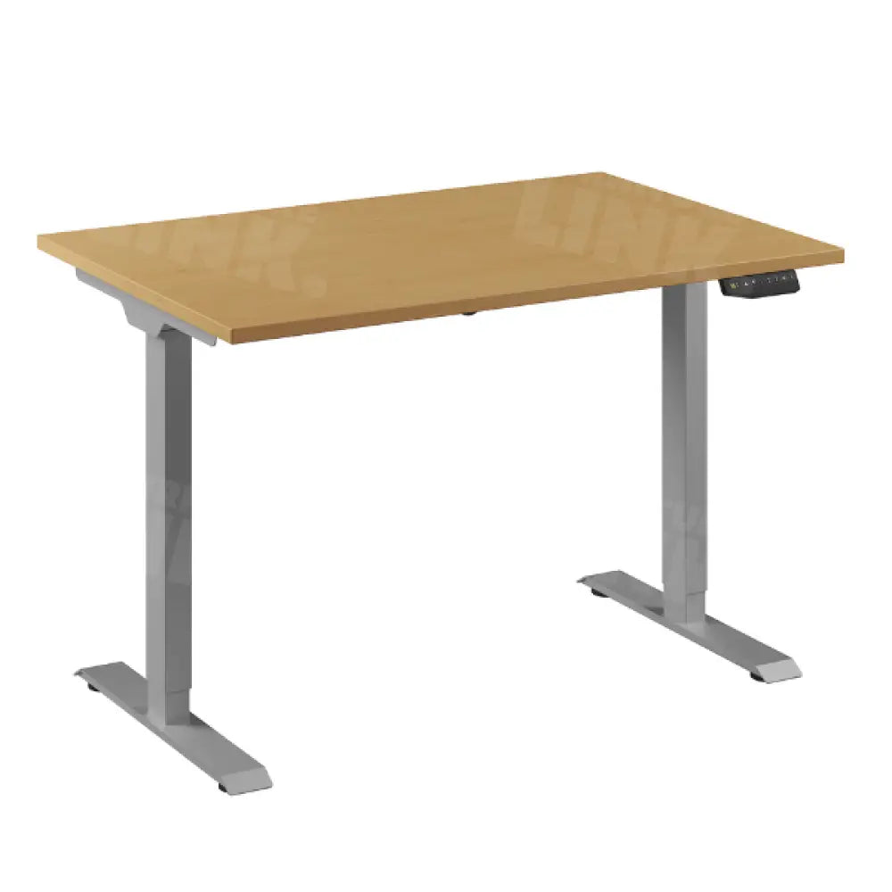 Bureau Flex 1 elektrisch verstelbaar QA (1 motorig) 120x80 cm