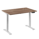 Bureau Flex 1 elektrisch verstelbaar QA (1 motorig) 120x80 cm Wit/Eiken tabak
