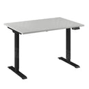 Bureau Flex 1 elektrisch verstelbaar QA (1 motorig) 120x80 cm Zwart/Wit