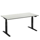 Elektrisch bureau Flex 2 Zwart/wit 120x80 cm