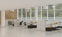 Bureau Flex 2 elektrisch verstelbaar (2 motorig) 160x80 cm