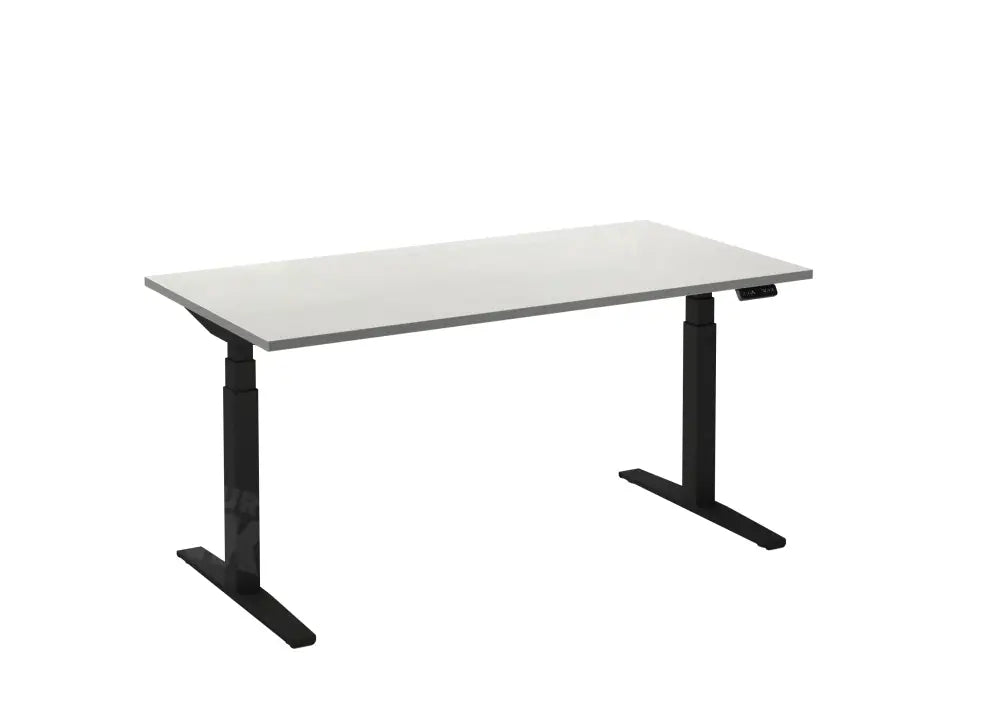 Bureau Flex 2 elektrisch verstelbaar (2 motorig) 200x80 cm