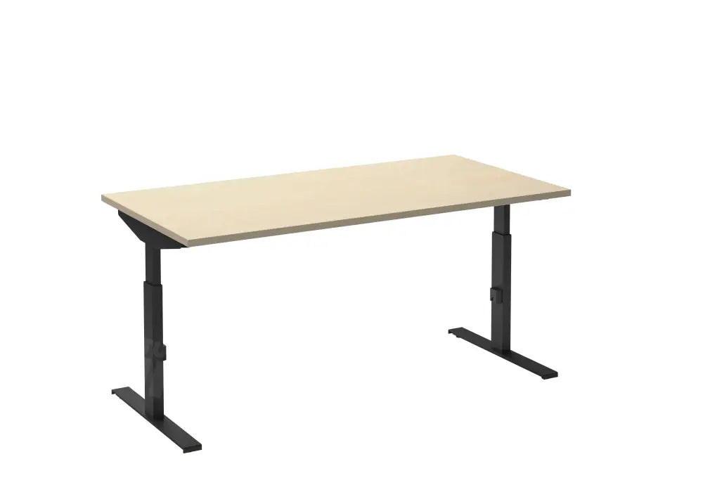 Move-t bureau 120x80 9005/Ahorn