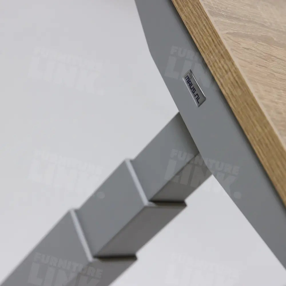 Elektrisch Bureau Dsq 200X80Cm Bureaus