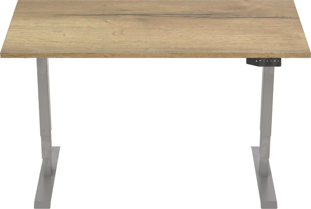 Elektrisch Bureau Dsq Euro 160X80Cm Bureaus