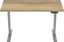 Elektrisch Bureau Dsq Euro 160X80Cm Bureaus