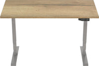 Elektrisch Bureau Dsq Euro 160X80Cm Bureaus