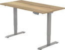 Elektrisch Bureau Dsq Euro 160X80Cm Bureaus