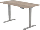 Elektrisch Bureau Dsq Euro 160X80Cm Bureaus
