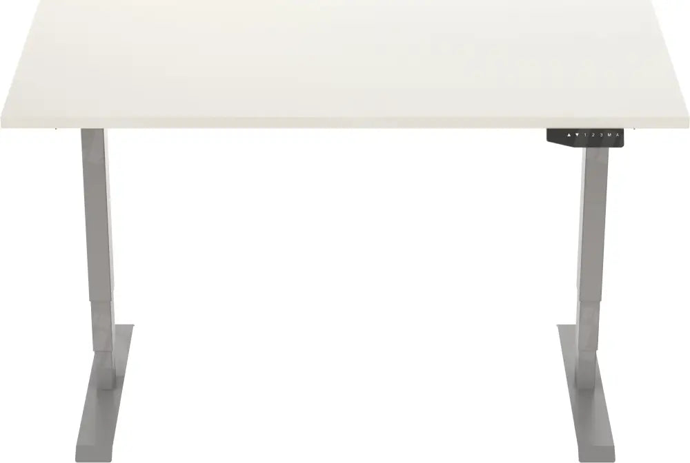 Elektrisch Bureau Dsq Euro 160X80Cm Bureaus