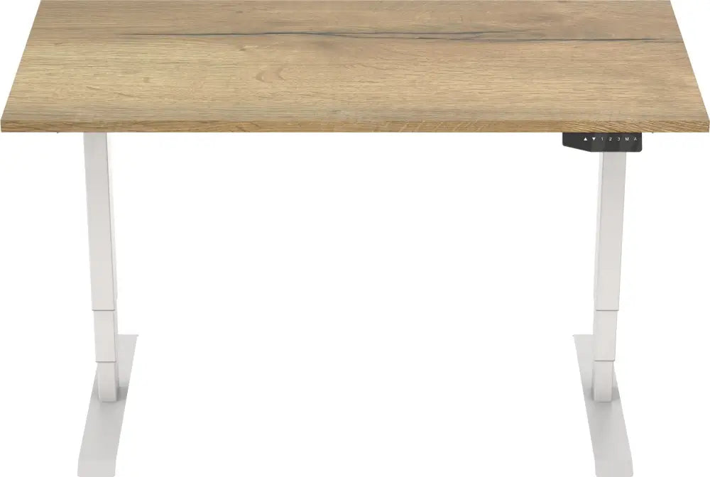 Elektrisch Bureau Dsq Euro 160X80Cm Bureaus