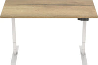 Elektrisch Bureau Dsq Euro 160X80Cm Bureaus