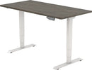 Elektrisch Bureau Dsq Euro 160X80Cm Bureaus