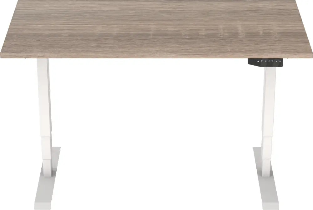 Elektrisch Bureau Dsq Euro 160X80Cm Bureaus