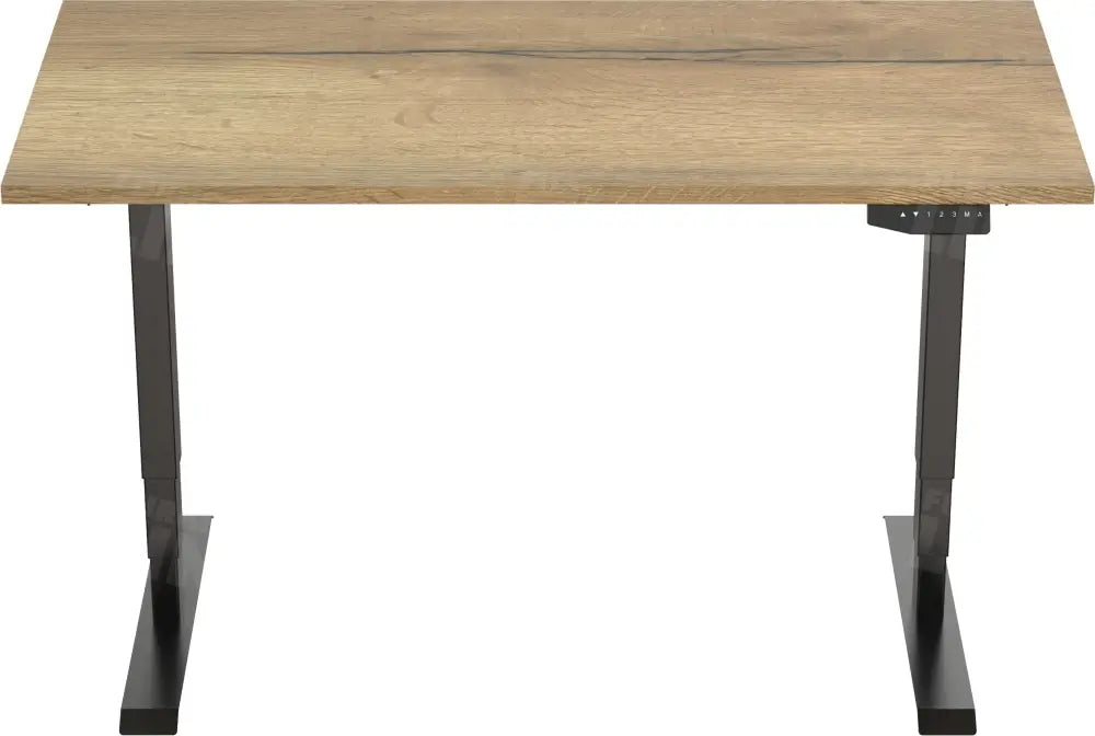 Elektrisch Bureau Dsq Euro 160X80Cm Bureaus