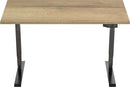 Elektrisch Bureau Dsq Euro 160X80Cm Bureaus