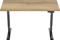 Elektrisch Bureau Dsq Euro 160X80Cm Bureaus