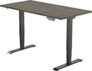 Elektrisch Bureau Dsq Euro 160X80Cm Bureaus