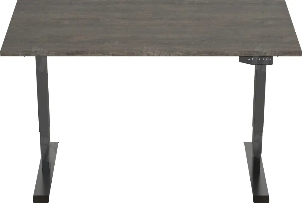 Elektrisch Bureau Dsq Euro 160X80Cm Bureaus