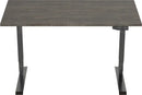 Elektrisch Bureau Dsq Euro 160X80Cm Bureaus
