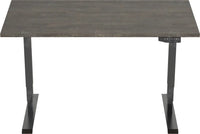 Elektrisch Bureau Dsq Euro 160X80Cm Bureaus
