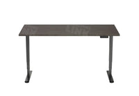 Elektrisch Bureau Dsq Euro125 160X80Cm Bureaus