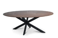 Tafel Tabl W2 Met Spinpoot Ovaal 240X110 Cm Bureaus