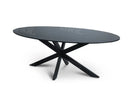 Tafel Tabl W2 Met Spinpoot Ovaal 200X110 Cm Bureaus