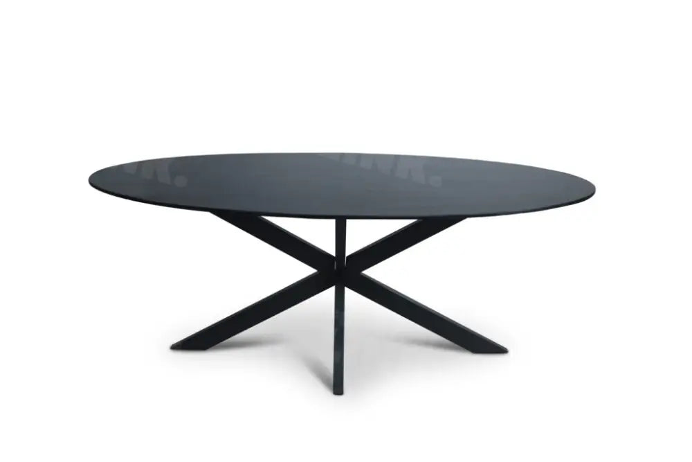 Tafel TABL W2 met spinpoot, Zwart ovaal blad, 300x110 cm