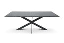 Tafel Tabl W2 Met Spinpoot Rechthoek 220X100 Cm Zwart / Bureaus
